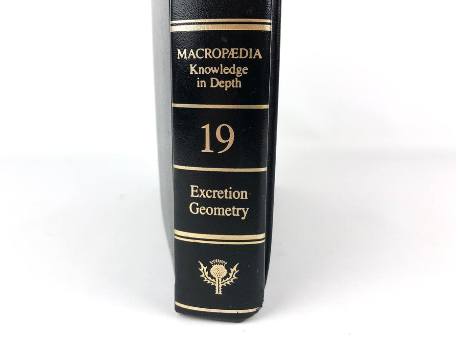 Britannica Macropaedia Knowledge in Depth Volume 19 Ed. 15 Excretion Geometry 3