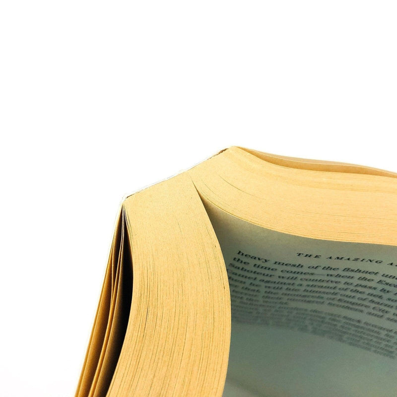 The Amazing Adventures Of Kavalier And Clay Paperback Michael Chabon 2000 Comics 10