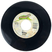 Lindisfarne 45 RPM 7" Record Lady Eleanor / Down Elektra 3