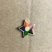 United Brotherhood of Carpenter's UBC Lapel Pin Bay Area California Local Star 1