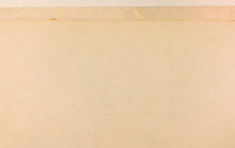 St. Regis Behavioral Decisions Board Game Family Night #9855 - Missing 3 Meeples 7