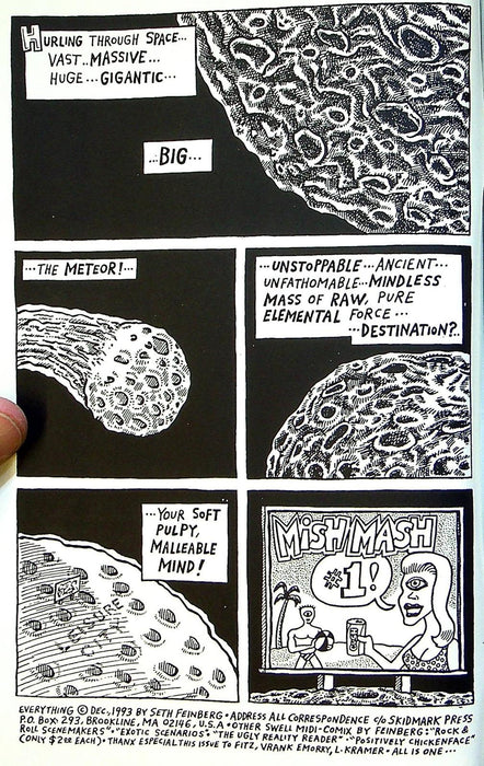 Mish Mash Fanzine Vol 1 Seth Feinberg, 27 Pages of Cartoons 2