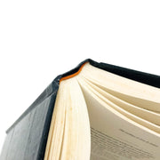 The Remnant Hardcover Lahaye Jenkins 2002 Left Behind Rapture Armageddon 1st Ed 9