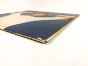 Olivia Newton John Don't Stop Believin' Vinyl Record MCA-2223 MCA Records 1976 9