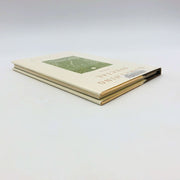 Iris Murdoch Book Something Special Hardcover 2000 1st Edition Irish Girl Marry 5