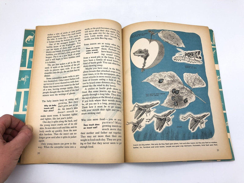 How and Why of Insects Dr Paul E Blackwood 1960 Wonder Books Paperback 8