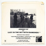 Hooters Johnny B Record 45 RPM Single 38-07241 Columbia 1987 2