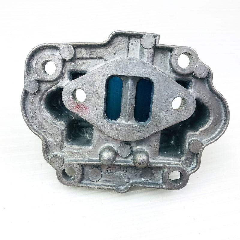 Briggs and Stratton 677362 Reed Plate Genuine OEM New NOS Replaces 602839 9