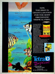 Aquarium Fish Magazine December 1991 Vol 4 No 3 Colorful Marines: Anthias 3