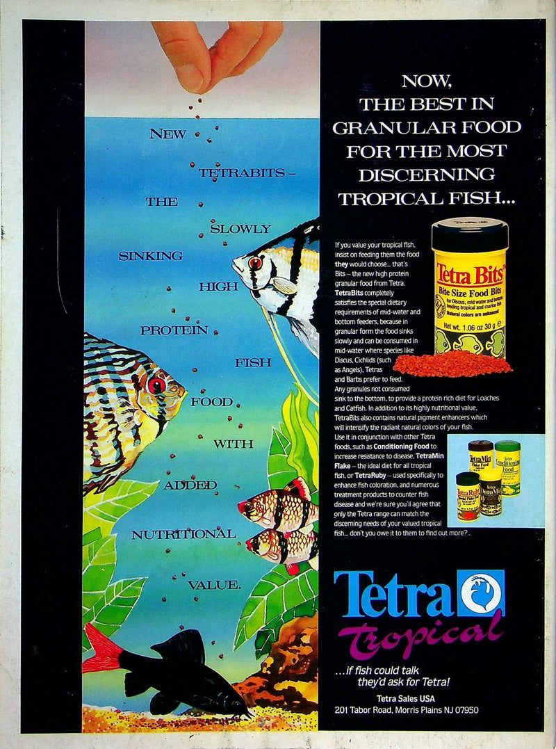 Aquarium Fish Magazine December 1991 Vol 4 No 3 Colorful Marines: Anthias 3