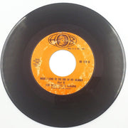 The Five Blind Boys of Alabama When I Come To The End Of My Journey 45 Single 2