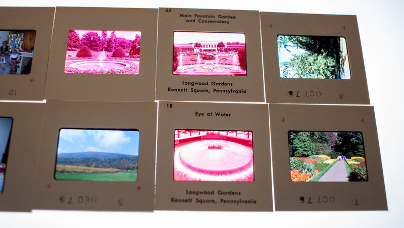 Vintage 35mm Photo Transparency Slides - Longwood Garden 1975 | Lot of 60