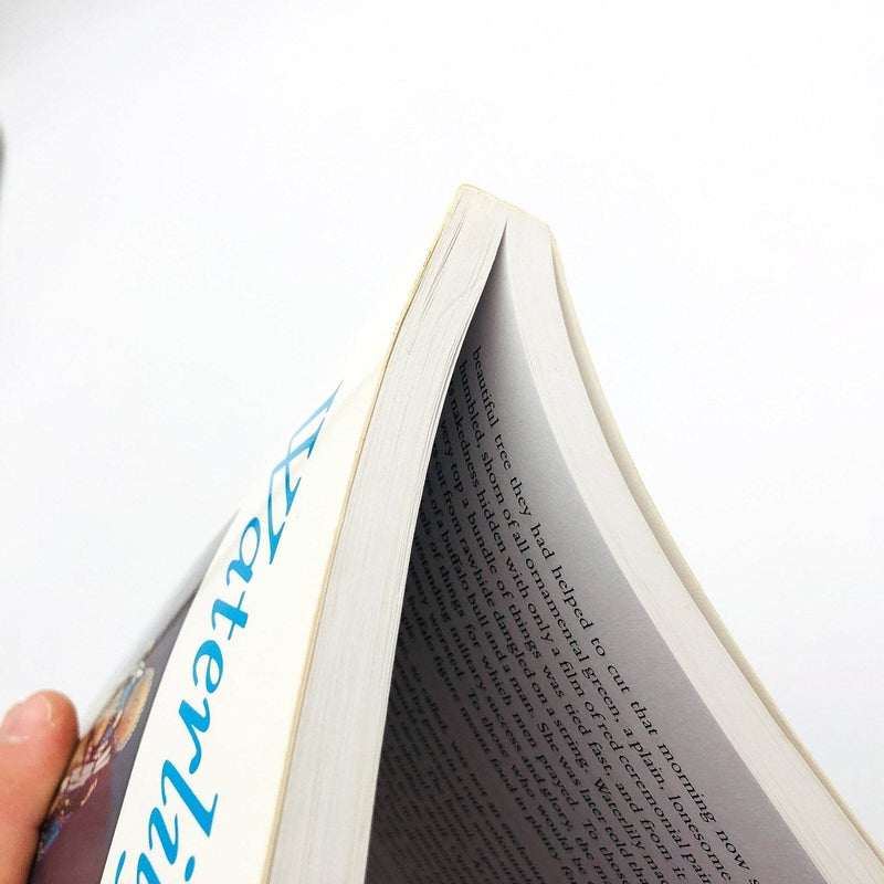 Waterlily Paperback Ella Cara Deloria 1988 Agnes Picotte Biographical Sketch 9