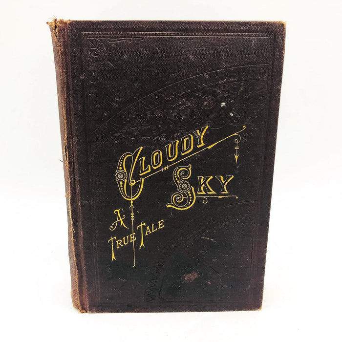 Cloudy Sky Hardcover Narcissa Smith Springer 1884 Unfortunate Children 1