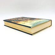 The Infinite Plan Hardcover Isabel Allende 1993 1st Edition Traveling Preacher 5