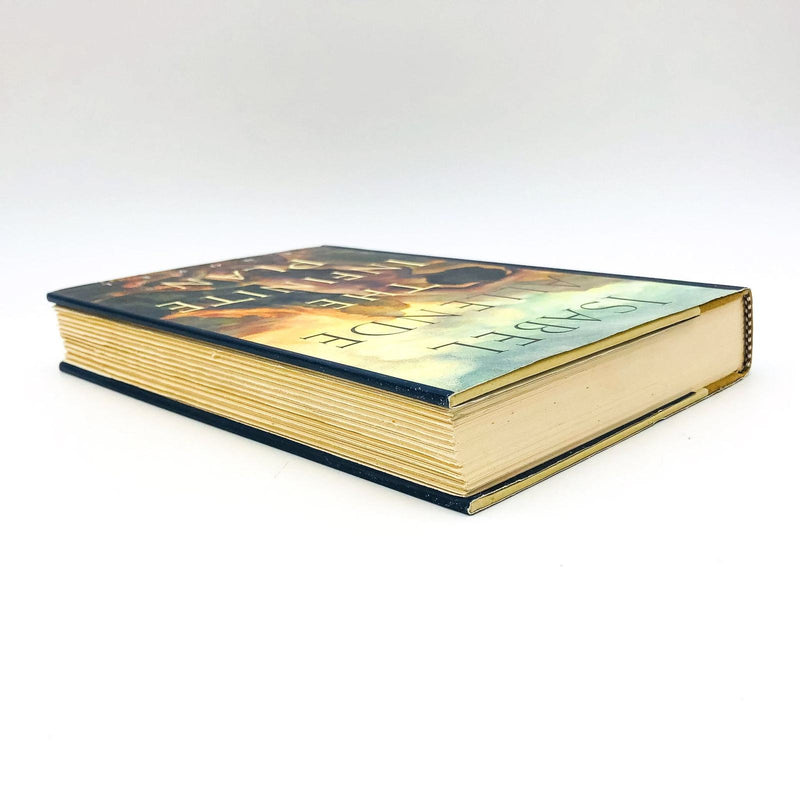 The Infinite Plan Hardcover Isabel Allende 1993 1st Edition Traveling Preacher 5