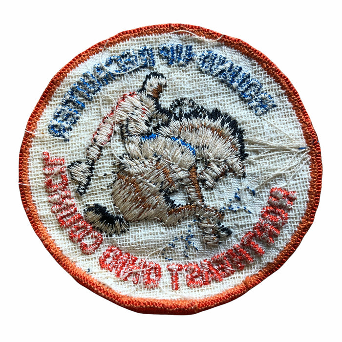 Boy Scouts Round-Up Recruiter Northeast Ohio Council Patch Rodeo Bronco Insignia 2