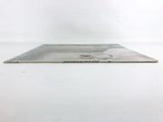 Jennifer Warnes Record LP Vinyl Shot Through the Heart AB 4217 Arista 1979 4