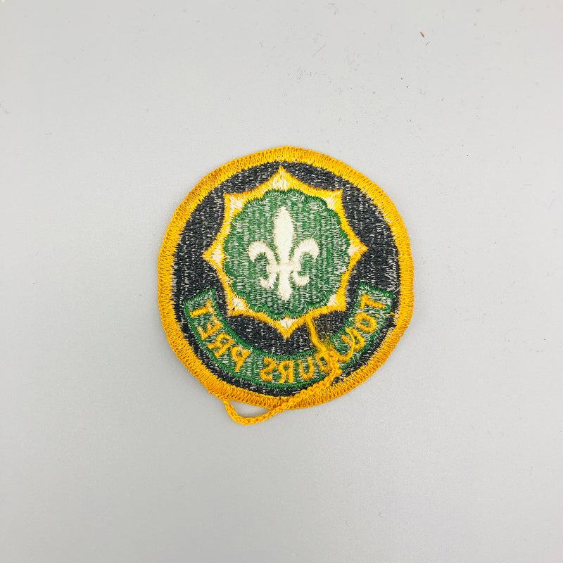 US Army Patch 2nd Armored Cavalry Regiment Toujours Pret Full Color No Glow 2