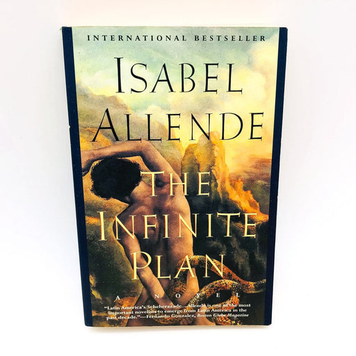 The Infinite Plan Paperback Isabel Allende 1994 Vietnam War Men Life Crisis 1