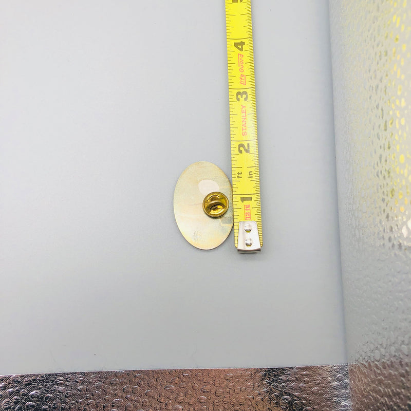 Ricky Rudd Nascar Lapel Pin Tide No 5 Chevrolet Lumina Epoxy Pinback Racing