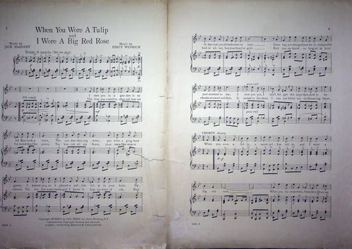 Sheet Music When You Wore A Tulip And I Wore A Big Red Rose Wenrich 1914 Ragtime 2