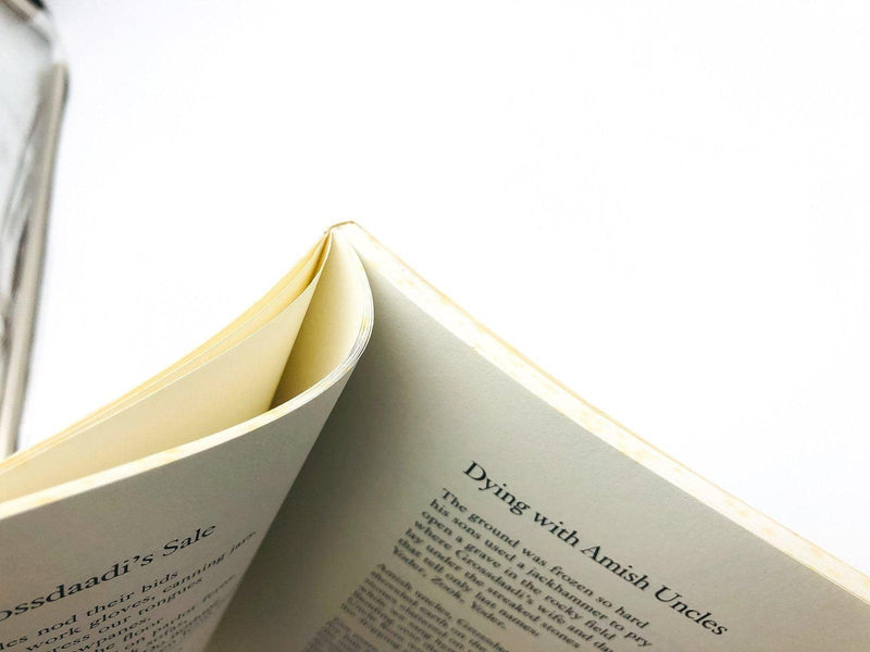 Sleeping Preacher Paperback Julia Kasdorf 1992 Life Mennonite Community Poetry 10