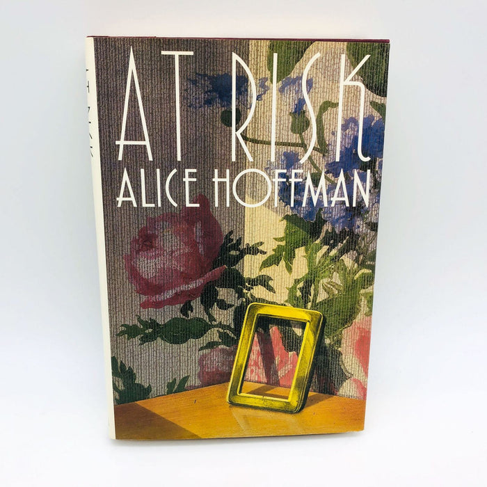 Alice Hoffman Book At Risk Hardcover 1988 1st Edition Aids Epidemic Children Cp2 1