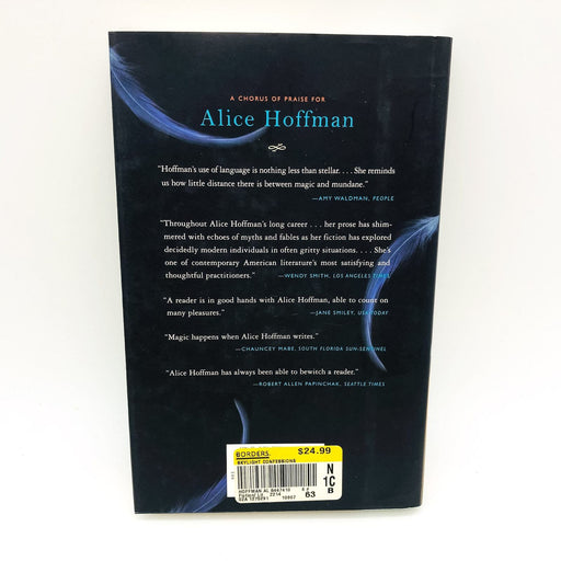 Skylight Confessions HC Alice Hoffman 2007 Architects Life Changes 1st Edition 2