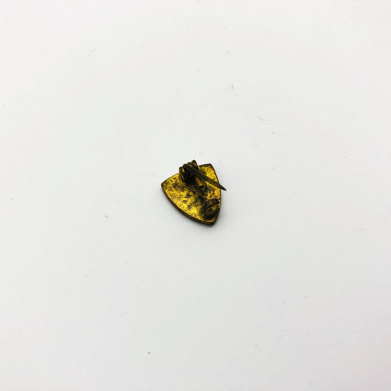 Vintage Coat Of Arms Lapel Pin H W Miller C. U. Initials Book Crown Olive Branch