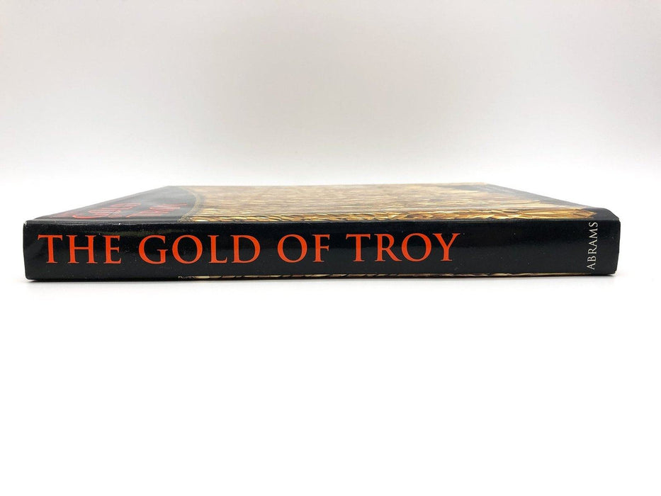 The Gold of Troy Vladimir Tolstikov 1996 Harry N Abrams Homer's Fabled City HC 3