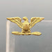 US Army Colonel Pin Pinback Eagle Rank Dress Collar Insignia Blankinton HI-GLO 2 4