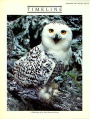 Timeline Magazine Ohio 1984 Vol 1 No. 2 Owl: Sorcerer, Spirit Bird, Predator 1
