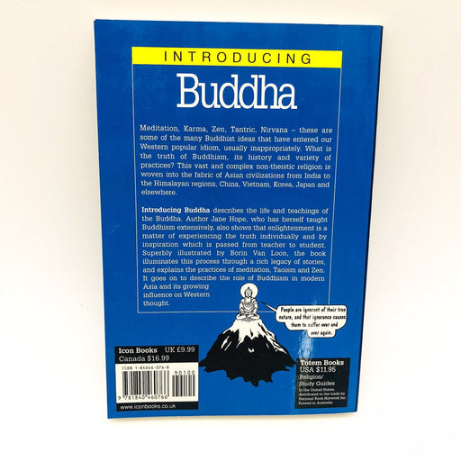 Introducing Buddha Paperback Jane Hope 2002 Buddhism Spirituality United Kingdom 2