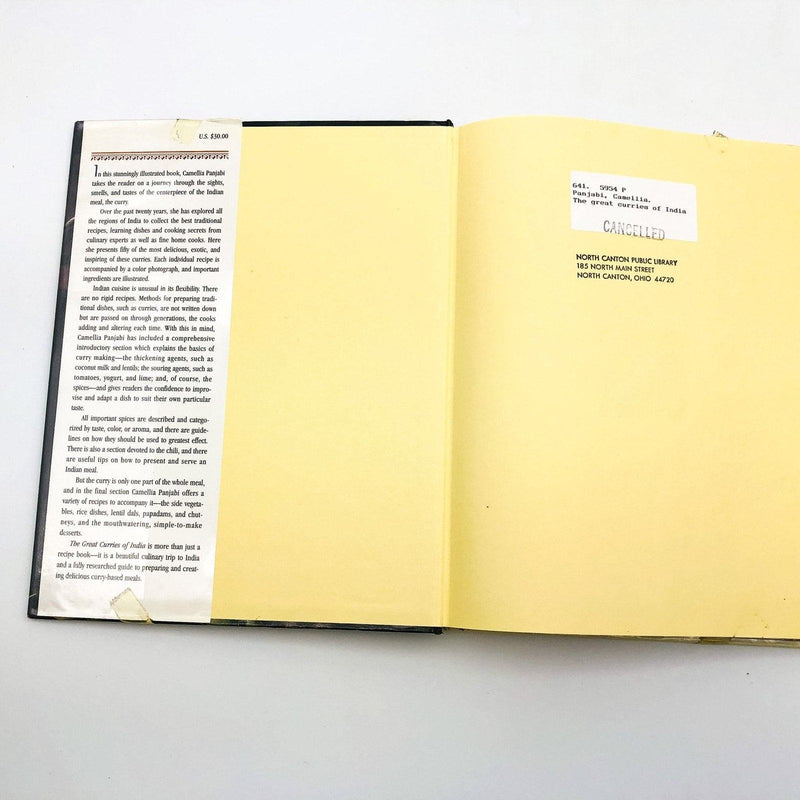 The Great Curries of India Hardcover Camellia Panjabi 1995 Basics Recipe Cookery 6