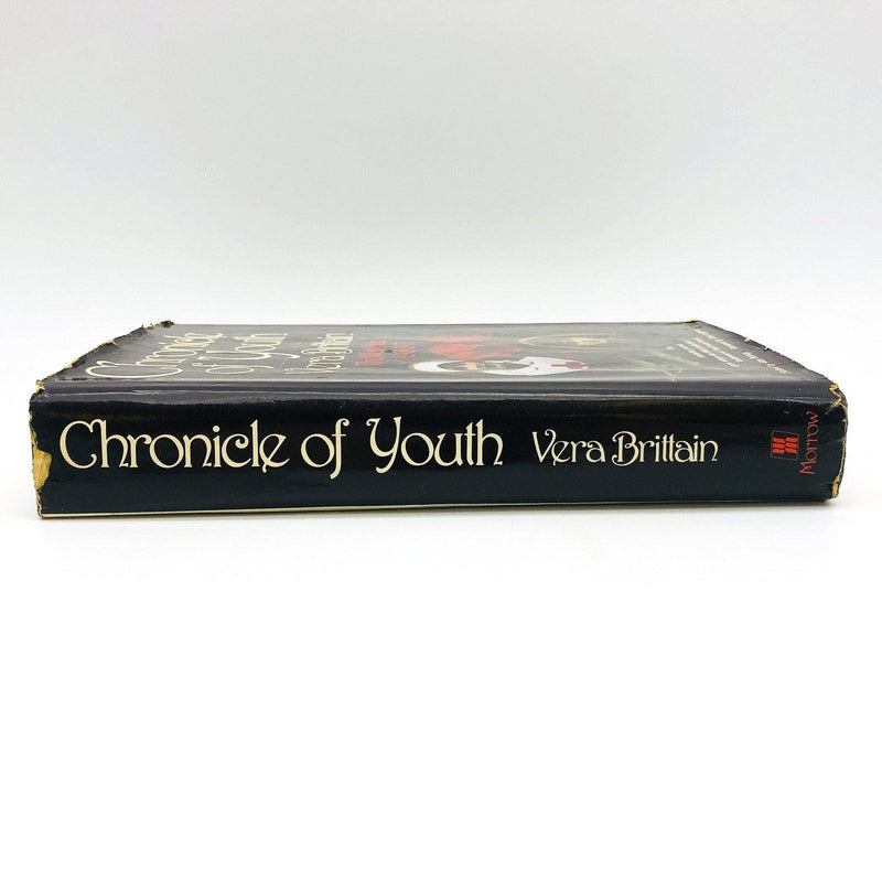 Chronicle Of Youth Hardcover Vera Brittain 1982 The War Diary Nurse World War 1 4