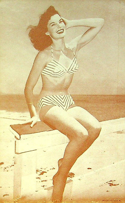 US 50s Pin Up Promo Photo Card Woman Bikini Swimsuit Chevron Print Fence Beach