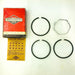 Briggs and Stratton 393837 020 Piston Ring Set Genuine OEM New Old Stock NOS 4