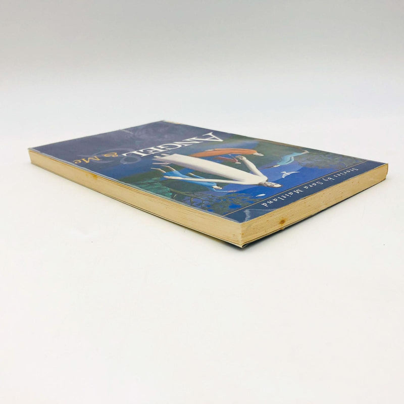 Angel And Me Sara Maitland Paperback 1997 1st US Edition Women Martyrs Angels 5