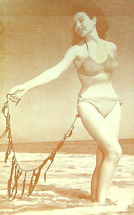 US 50s Pin Up Promo Photo Card Woman Model Bikini Swimsuit Beach Shore Seaweed