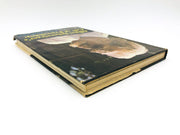 Albert Schweitzer's Gift Of Friendship Hardcover Erica Anderson 1964 Intimate 5