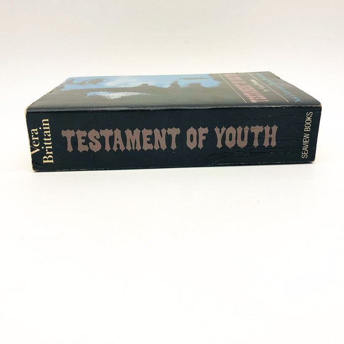 Testament Of Youth Paperback Vera Brittain 1980 WW1 Women Post War Civilization 3