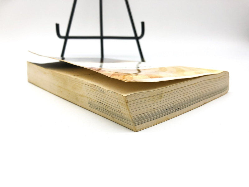 New Believer's New Testament Bible 2013 New Living Translation Tyndale House 5