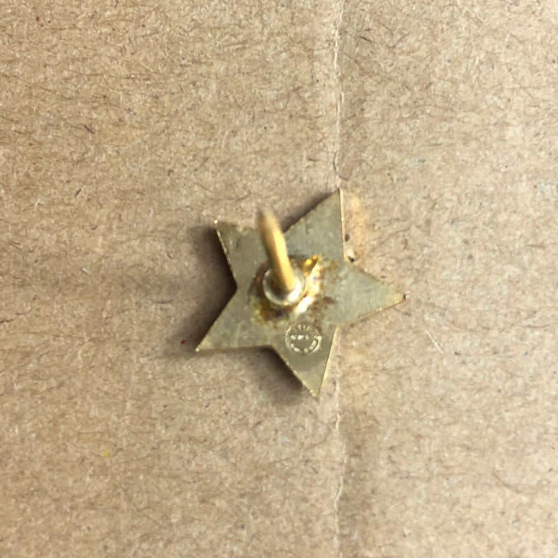 United Brotherhood of Carpenter's UBC Lapel Pin Bay Area California Local Star 3
