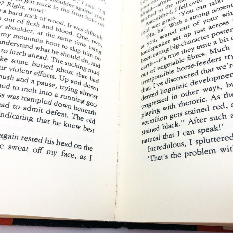 Half Of Man Is Woman HC Zhang Zianliang 1988 Chinese Labor Camp Love Story 10