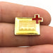 American Red Cross Lapel Pin Central Iowa Chapter Canals Icon 2