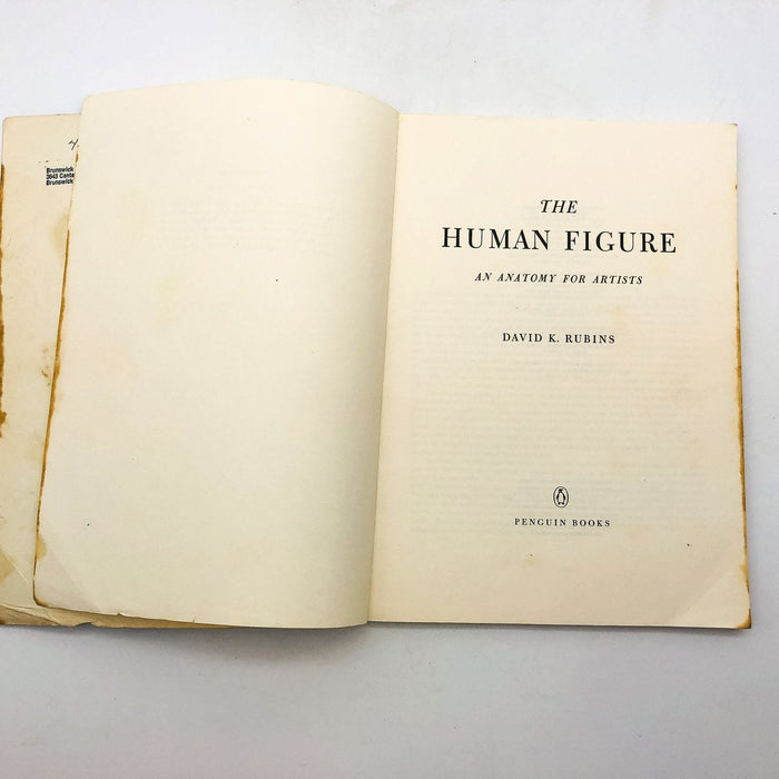 The Human Figure Paperback David K. Rubins 1978 An Anatomy For Artists Teaching 7