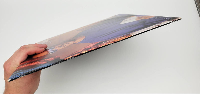 Stevie Wonder Skeletons Single Record Motown 1987 4593MG 3