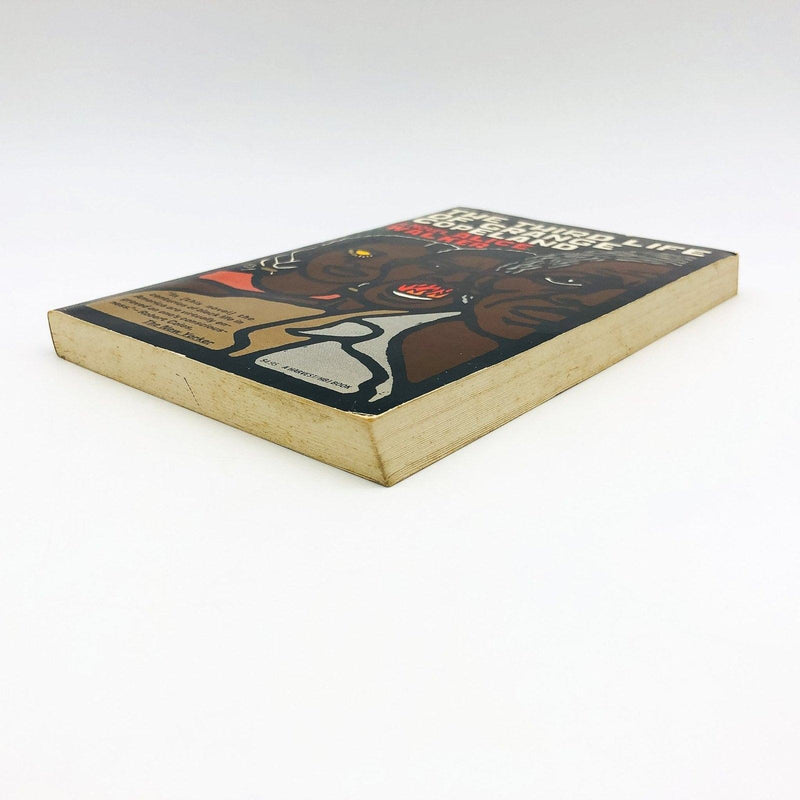 The Third Life Of Grange Copeland Paperback Alice Walker 1970 African American 5