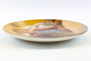 Orphan Annie Collectors Plate Annie & Sandy the Dog w/ COA Knowles China 9825K 5